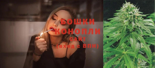 прущие грибы Аркадак