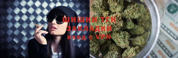 прущие грибы Аркадак