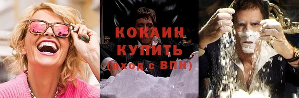 прущие грибы Аркадак