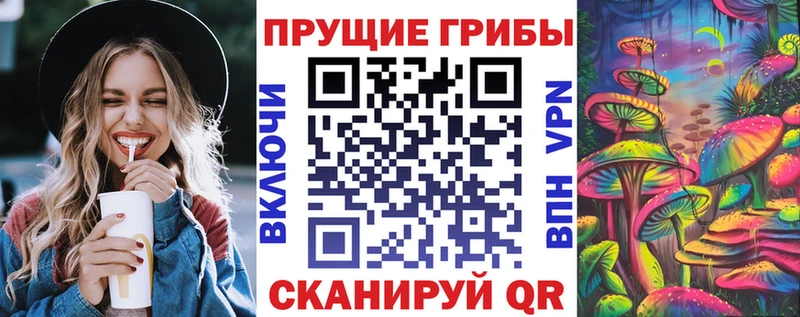 Галлюциногенные грибы Cubensis  Тара 